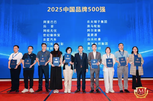 品牌价值再升级!网视无忧荣膺“2025中国品牌500强”&“2025品牌强国行业榜·十大领军品牌”